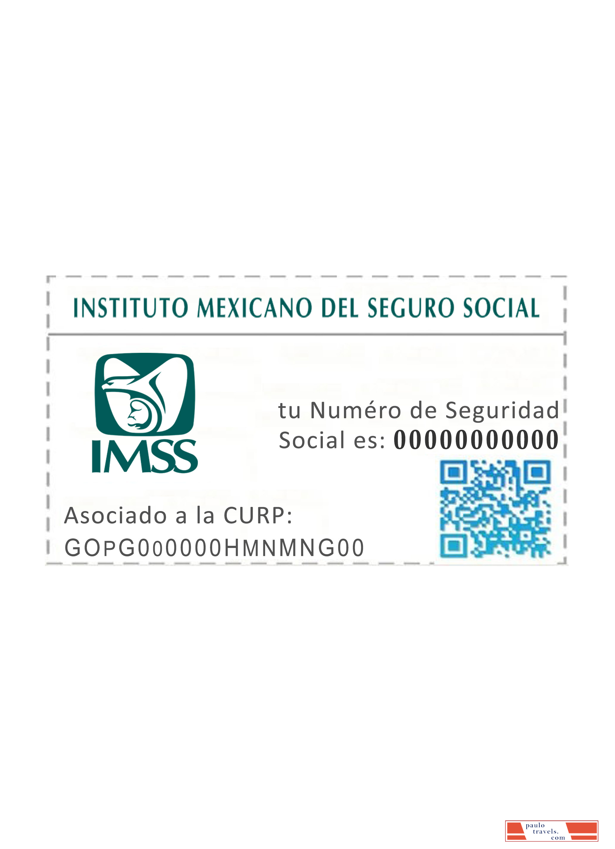 Mexico NSS card